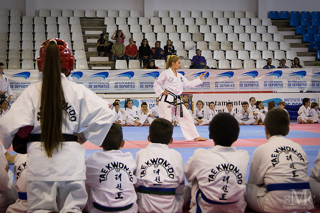 DIA DEL TAEKWONDO ABRIL 2017_3831.JPG